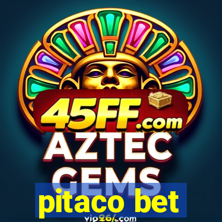pitaco bet
